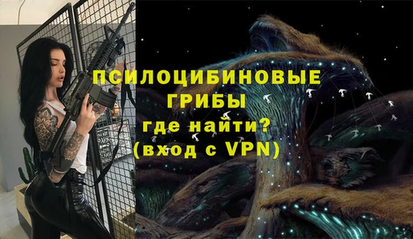 хмурый Алексеевка