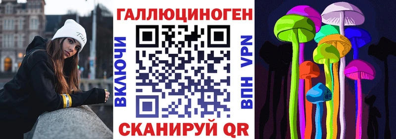 MEGA как войти Багратионовск Псилоцибиновые грибы Psilocybine cubensis
